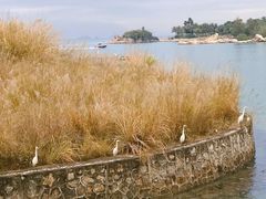 -碧桂园十里银滩