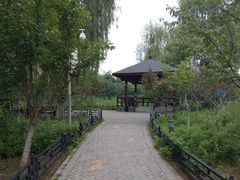 -大兴滨河森林公园