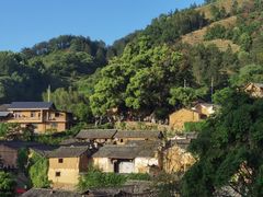 -杨家堂村