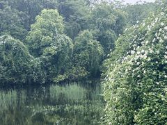 -艾溪湖湿地公园