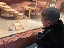 -Zoolung Zoolung动物主题公园(海信广场店)