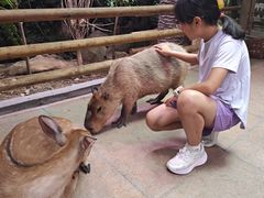 -正佳雨林生态植物园