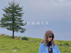-芦芽山旅游度假区