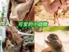 -正佳极地海洋世界