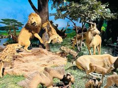 -国家自然博物馆