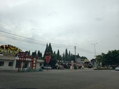 -彭大姐老店黄辣丁(新津店)