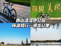 -西山漾湿地公园