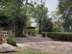 -盘龙城国家考古遗址公园