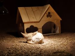 -酷嗒动物文化乐园(cutezoo西溪乐天城店)