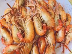 -会江钓鱼钓虾烧烤场