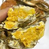 苏州｜排了3小时队才买到正宗阳澄湖大闸蟹‼️
