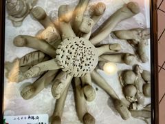 -tomato蕃茄田艺术(新天地中心)