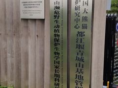 -都江堰中华大熊猫苑
