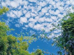 -晓港公园