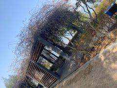-阳澄湖半岛旅游度假区