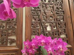 -山水茶艺馆·点心粤菜·30年老字号