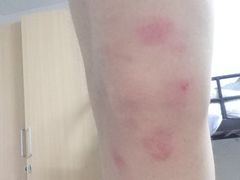 -嘿哟动霸CHUA·新潮玩运动娱乐中心·蹦床滑冰团建乐园