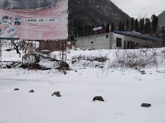 -秦岭风景区