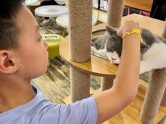 -喵匠猫主题咖啡(凯德和平广场店)