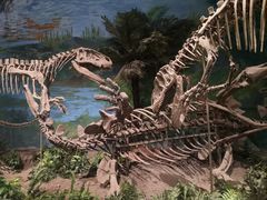 -自贡恐龙博物馆