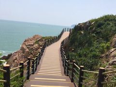 -广东惠东海龟国家级自然保护区