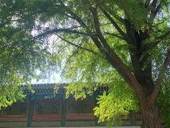 -国家图书馆·古籍馆