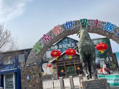 -北京鹿世界主题园