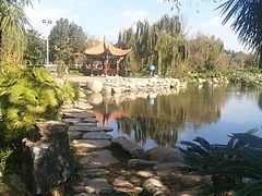 -洛龙公园