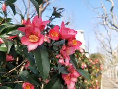 -中共上海市委党校 上海行政学院