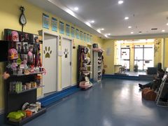 -瑞鹏宠物医院·爱宠堂·骨外专科(西荷分院)