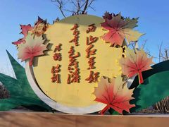 -北京西山国家森林公园