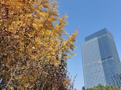 -后襄河公园