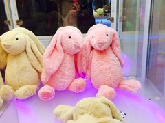 -PAWTOY爪e玩偶店(天兴罗斯福店)