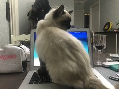 -康乐宝动物医院