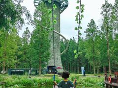 -黄海国家森林公园