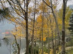 -秦岭终南山世界地质公园翠华山景区