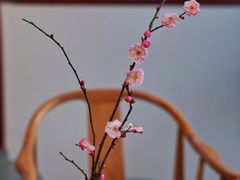 -韬光茶庵