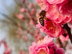 -滨湖塘西河公园