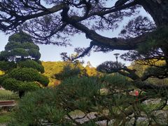 -贵州省植物园