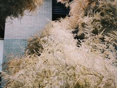 -成都许燎源现代设计艺术博物馆