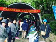 -人民公园-相亲角