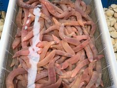 -宝燕海货工场(长江国际店)
