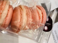 玫瑰马卡龙-PAUL LAFAYET 法式甜品(港汇广场店)