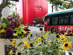 -上海K11购物艺术中心