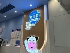 -一只酸奶牛(春熙路店)