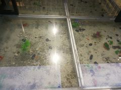 -醉霖生态餐厅(交大店)