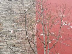 -东华门大街小区