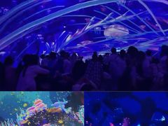 -南戴河国际娱乐中心