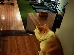 -YCHL Studios健身工作室(市二宫店)