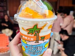-椰椰大吉(侨港店)